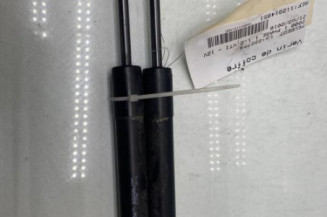 Verin de coffre PEUGEOT 2008 1 Photo n°1