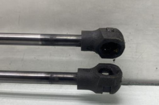 Verin de coffre PEUGEOT 2008 1