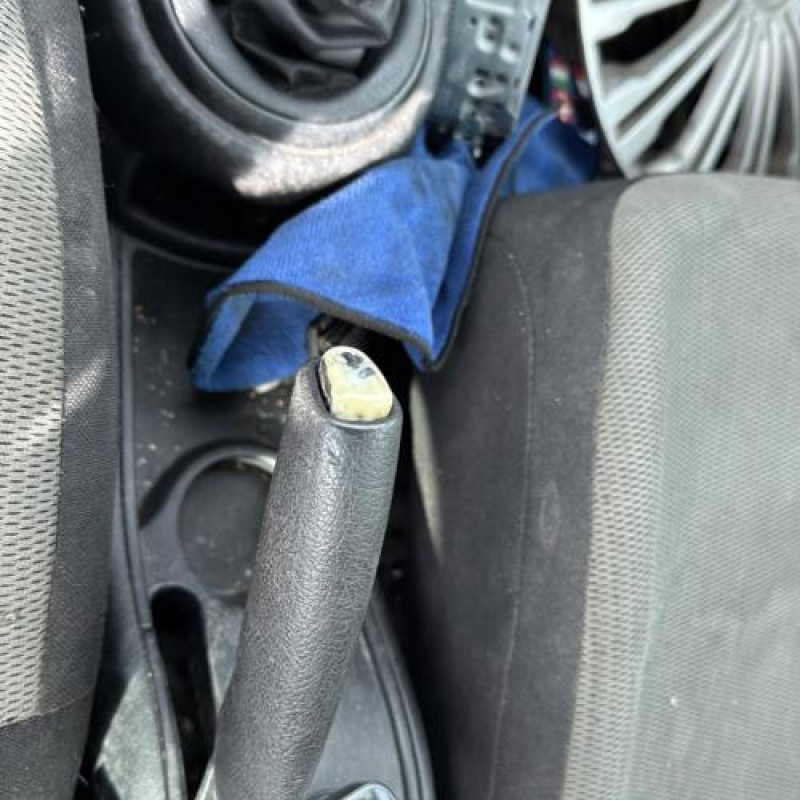 Custode arriere droit CITROEN C4 1 Photo n°15