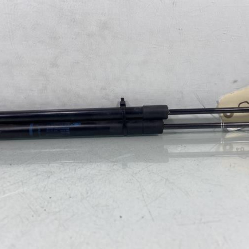 Verin de coffre RENAULT SCENIC 2 Photo n°1