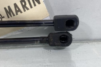 Verin de coffre RENAULT SCENIC 2