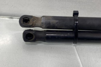 Verin de coffre RENAULT SCENIC 2