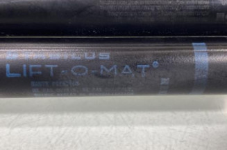 Verin de coffre RENAULT SCENIC 2