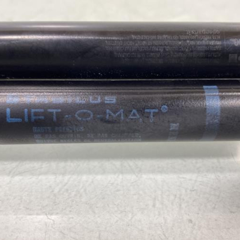 Verin de coffre RENAULT SCENIC 2 Photo n°4