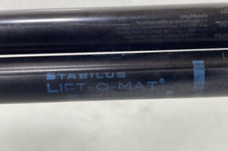 Verin de coffre RENAULT SCENIC 2