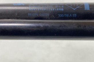 Verin de coffre RENAULT SCENIC 2