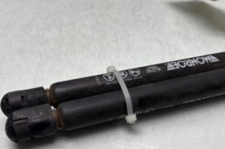 Verin de coffre VOLKSWAGEN GOLF PLUS