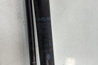 Verin de coffre MINI MINI 1 R50/R53