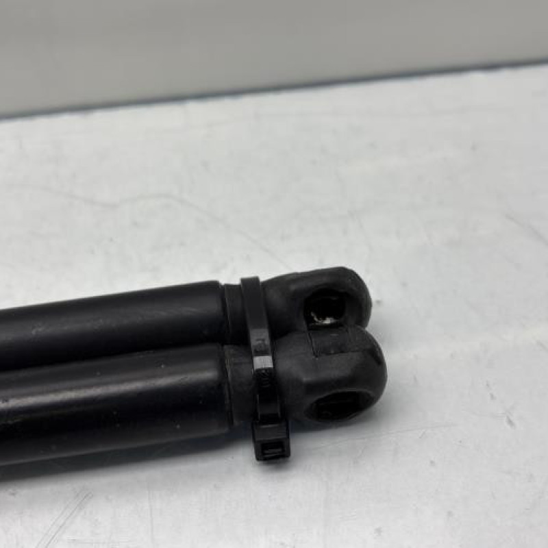 Verin de coffre FIAT QUBO Photo n°3