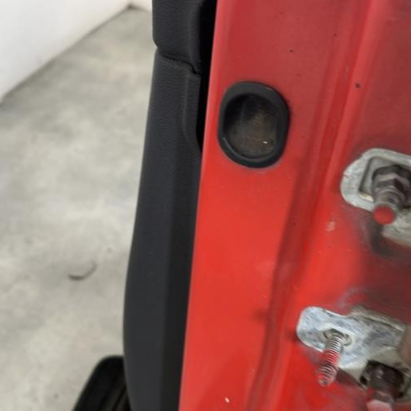 Porte avant gauche RENAULT CLIO 3 Photo n°4