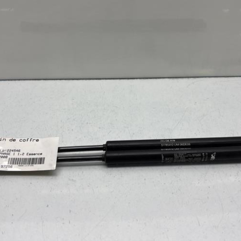 Verin de coffre FIAT 500 2 Photo n°1