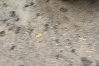 Face avant FORD FIESTA 6