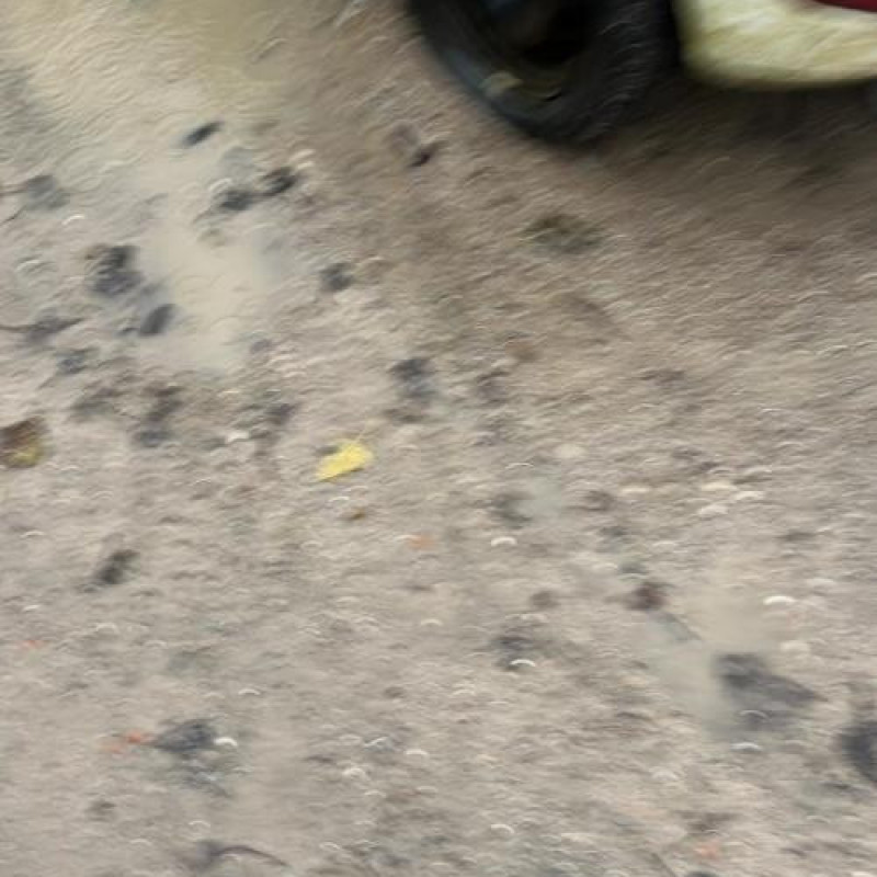 Face avant FORD FIESTA 6 Photo n°8