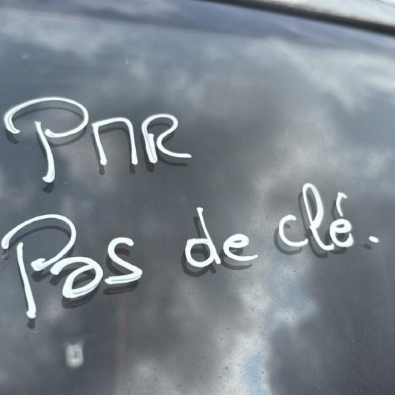 Poignee porte avant gauche MERCEDES VITO 639 Photo n°12