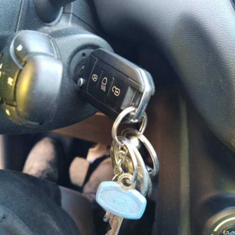 Custode avant droit (porte) PEUGEOT 208 1 Photo n°9