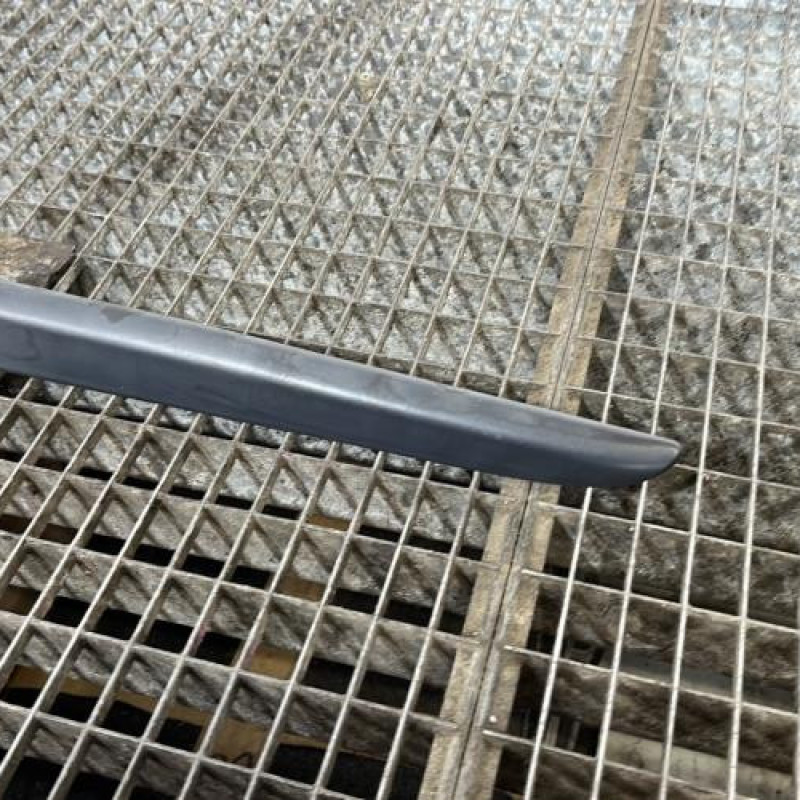 Baguette de porte arriere gauche  RENAULT CLIO 3 Photo n°3