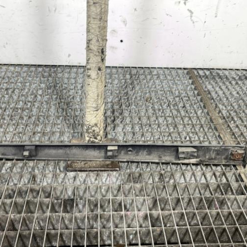 Baguette de porte arriere gauche  RENAULT CLIO 3 Photo n°4