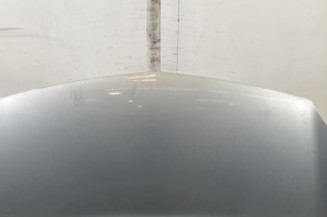 Capot RENAULT KANGOO 2 Photo n°1