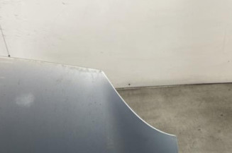 Capot RENAULT KANGOO 2