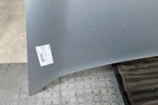 Capot RENAULT KANGOO 2