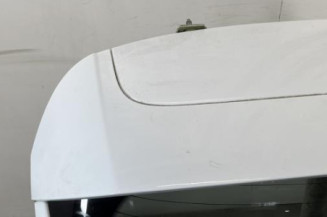 Malle/Hayon arriere FORD FIESTA 6