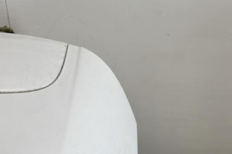 Malle/Hayon arriere FORD FIESTA 6