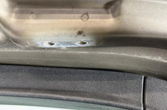 Malle/Hayon arriere CITROEN C4 GRAND PICASSO 1