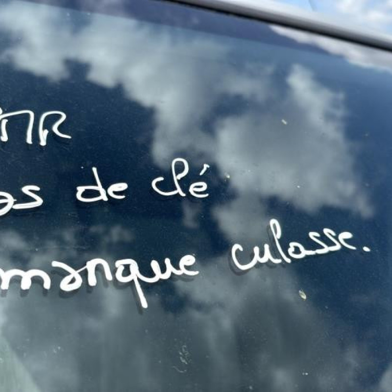 Pompe de direction NISSAN PRIMASTAR 1 Photo n°20