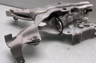 Charniere de capot MERCEDES CLASSE A 176 Photo n°1