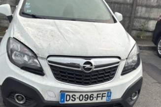 Custode arriere gauche (porte) OPEL MOKKA 1
