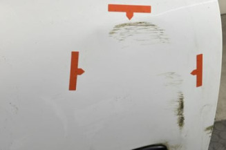 Porte avant droit RENAULT CLIO 2