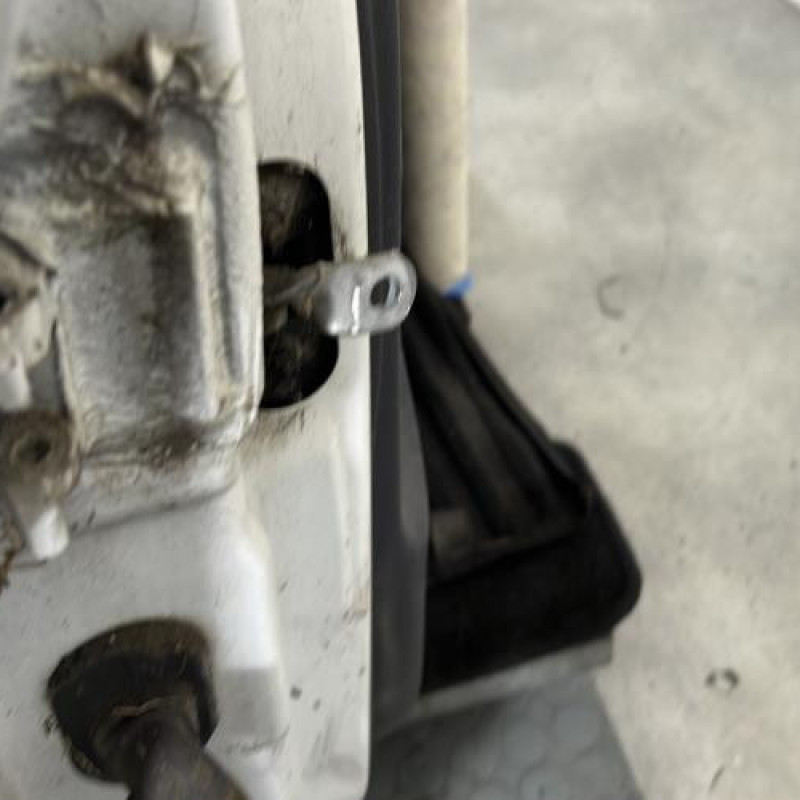 Porte avant droit RENAULT CLIO 2 Photo n°4