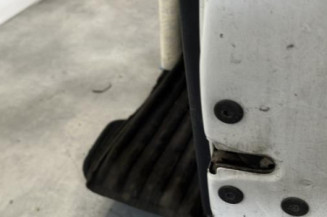 Porte avant droit RENAULT CLIO 2