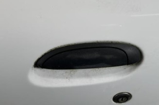 Porte avant gauche RENAULT CLIO 2