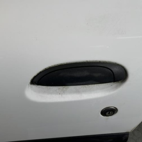 Porte avant gauche RENAULT CLIO 2