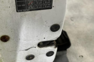 Porte avant gauche RENAULT CLIO 2