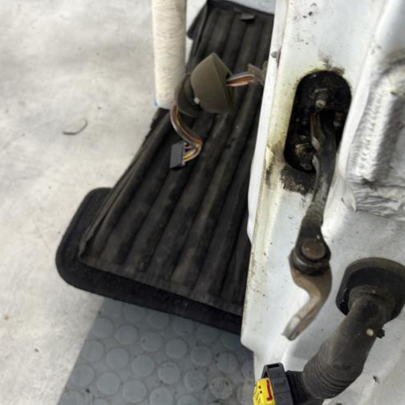 Porte avant gauche RENAULT CLIO 2 Photo n°4