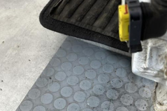 Porte avant gauche RENAULT CLIO 2