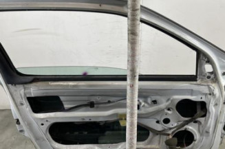 Porte avant gauche RENAULT CLIO 2