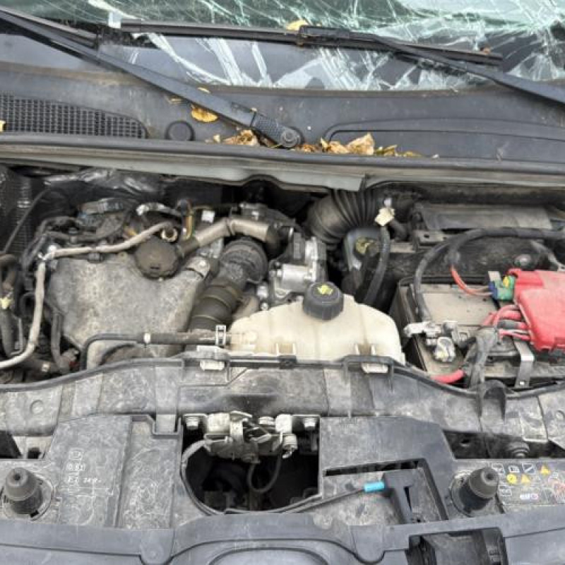 Calandre RENAULT KANGOO 2 Photo n°11