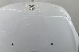 Capot PEUGEOT 208 1 Photo n°1