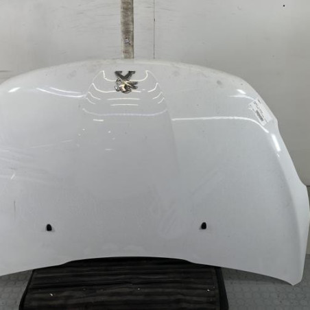 Capot PEUGEOT 208 1 Photo n°1