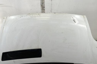 Capot RENAULT TRAFIC 2 Photo n°1