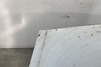 Capot RENAULT TRAFIC 2