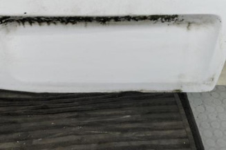 Porte de coffre droit RENAULT TRAFIC 2