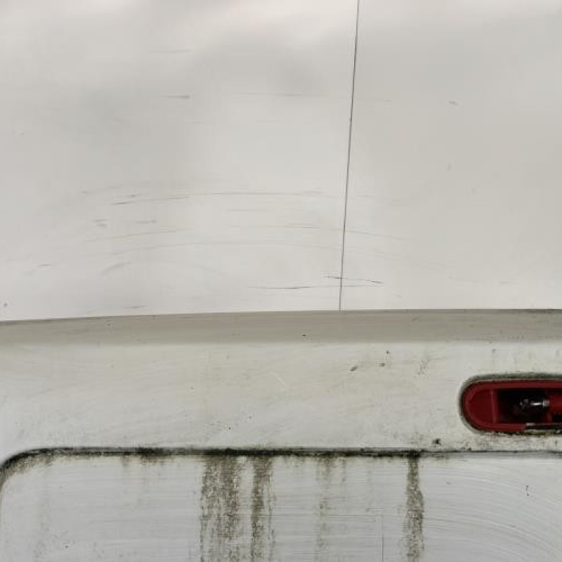 Porte de coffre gauche RENAULT TRAFIC 2 Photo n°2