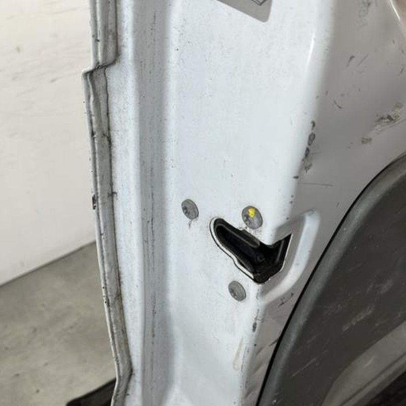 Porte de coffre gauche RENAULT TRAFIC 2 Photo n°5