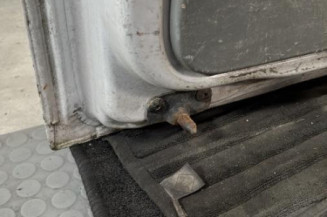 Porte de coffre gauche RENAULT TRAFIC 2