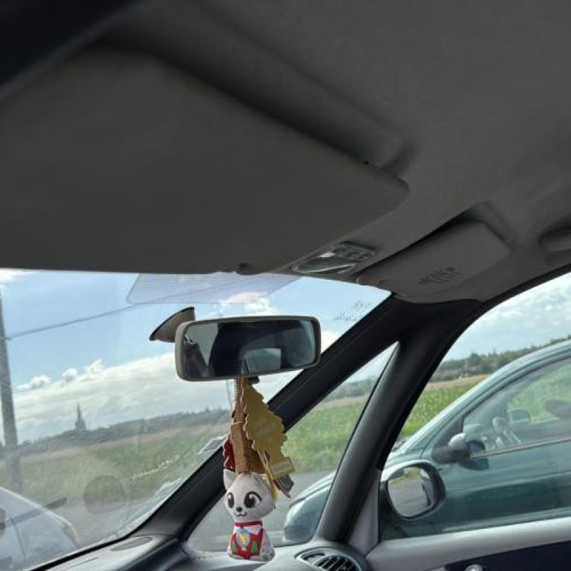 Retroviseur gauche CITROEN XSARA PICASSO Photo n°18