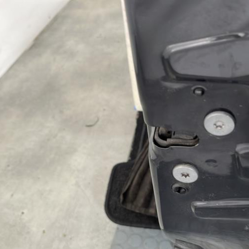 Porte avant droit PEUGEOT 207 Photo n°3